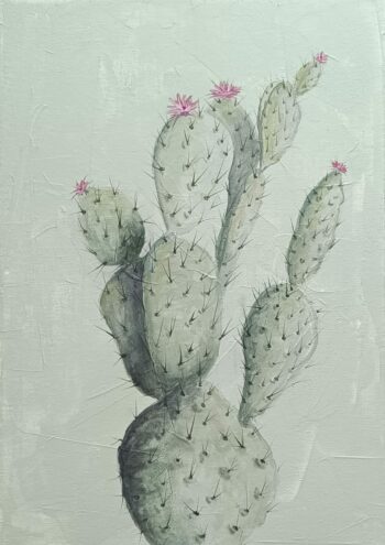 DECO SOT10 REF W-7728010 A