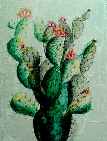 DECO SOT10 REF W-7728012 C